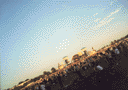 -2000